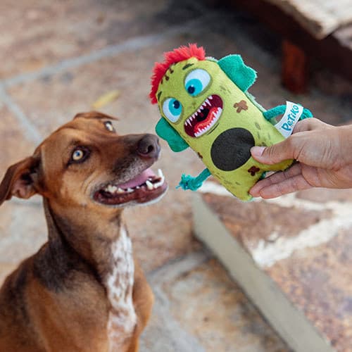 Brinquedo de Pelúcia Wando, o Monstro do Pântano Para Cachorro | Brinquedo com Apito e Corda - Petiko