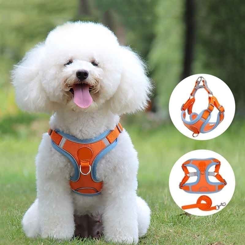Conjunto de Coleiras e Guias para Cães, Coleiras Refletivas para Cães, Acessórios para Animais de Estimação ao Ar Livre&