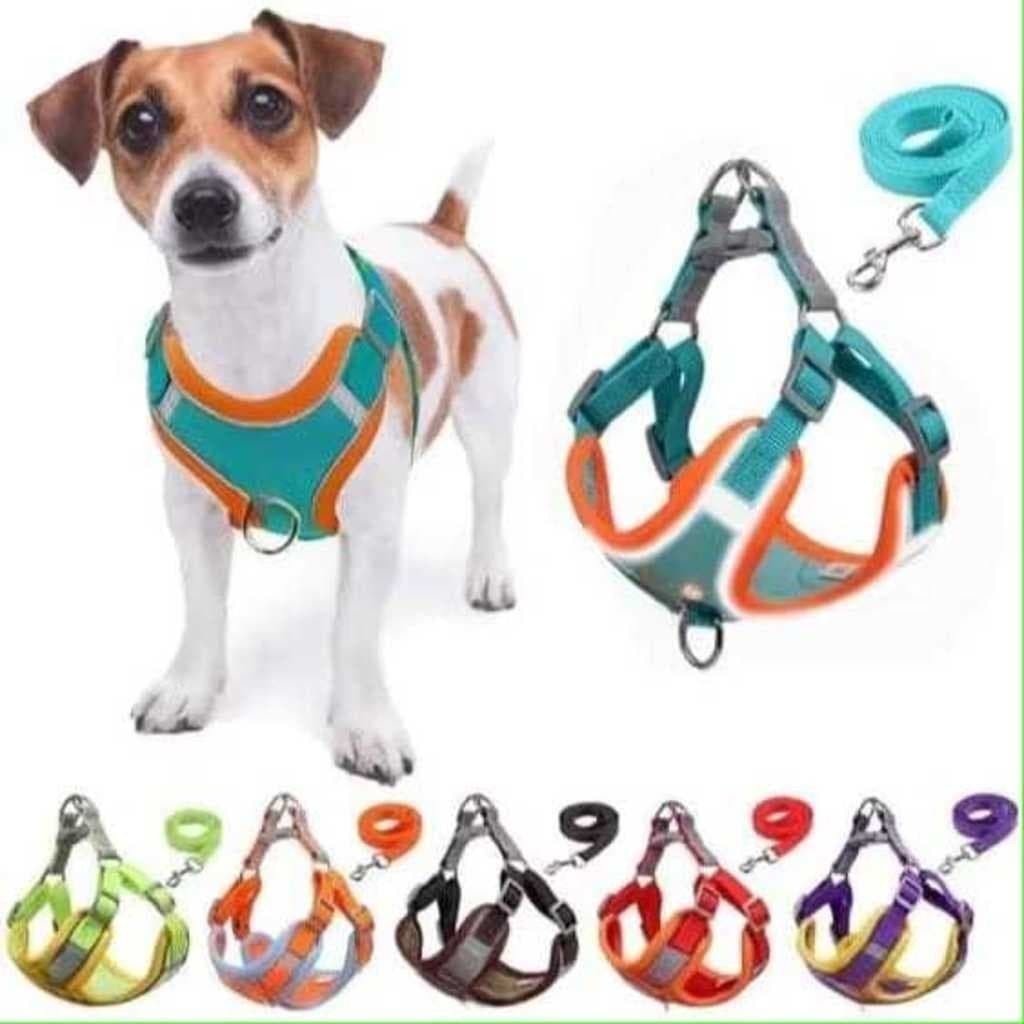 Coleira Peitoral Cachorro E Gato, Conjunto De Guia + Coleira Tipo Colete Para Pet Pequenos E Médios Cores Varios