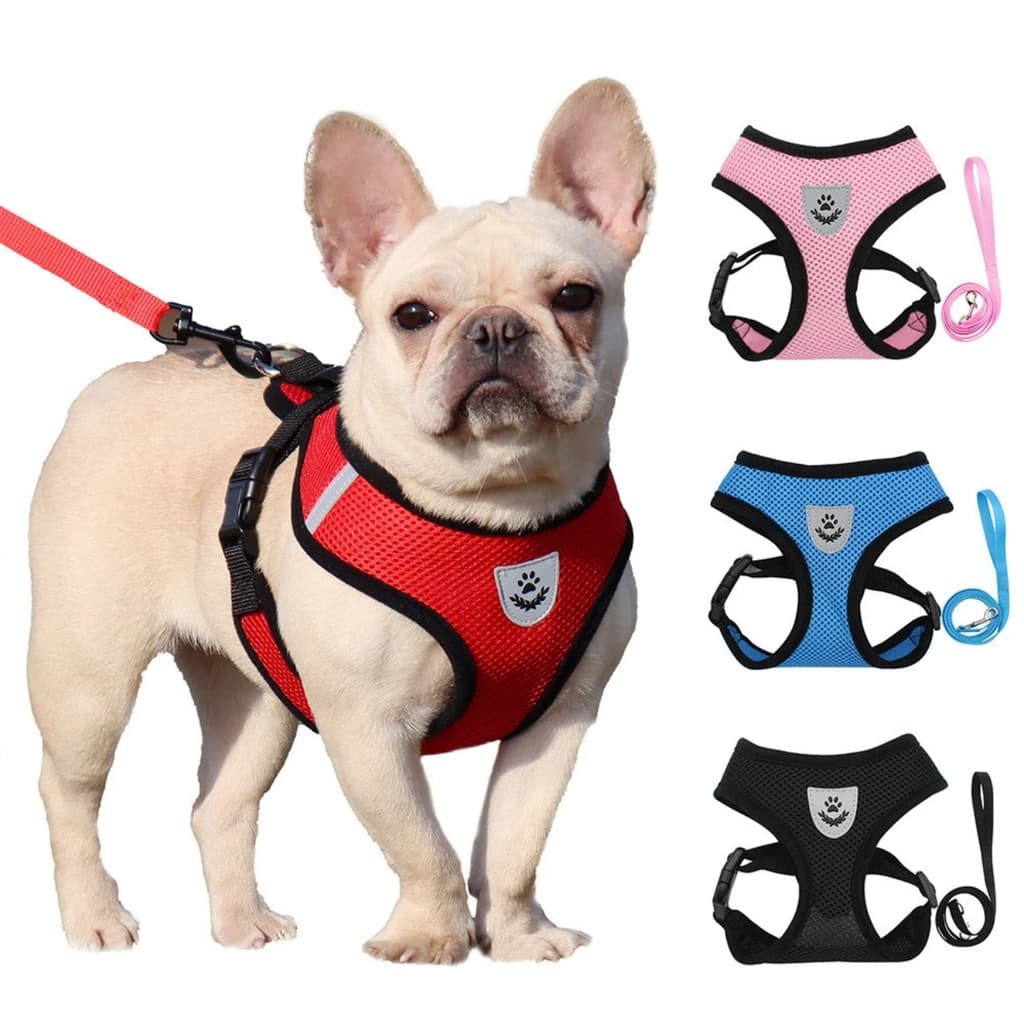 Coleira Peitoral e Guia confortável Cachorro E Gato + Colete Resistente Ideal para Pet 