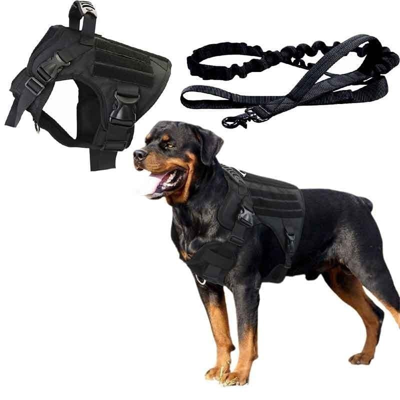 Conjunto de Coleira e Guia para Cães com Fivelas e Laço, Colete Durável para Cães Grandes, Coleira para Treinamento de C