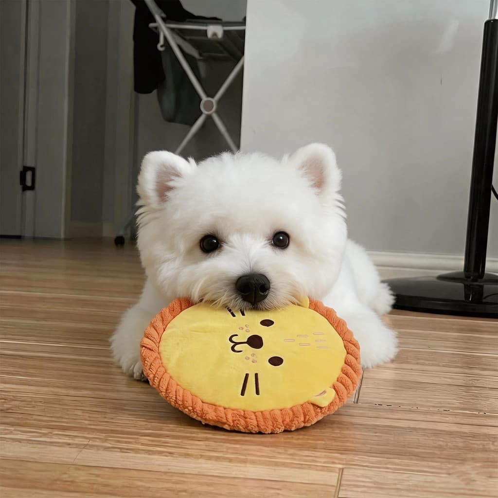 Brinquedo para cachorro Frisbee moagem dentes resistente mordida treinamento Pet filhote de cachorro interativo auto-fel