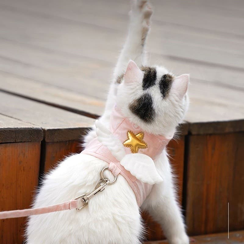 Coleira, guia e coleira com arnês para cães e gatos, colete com asas de anjo kawaii para cachorros e gatinhos, artigos p