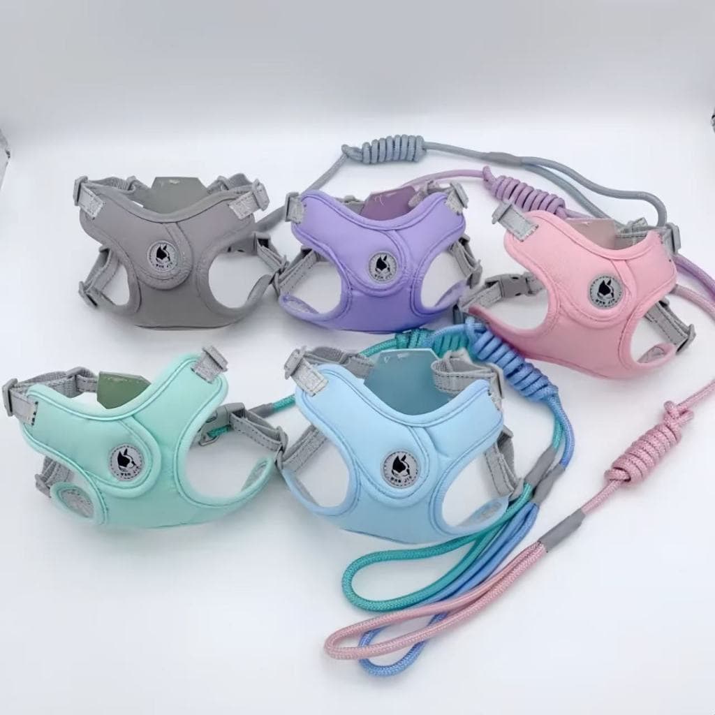Coleira peitoral Colorida Com Guia Para Cães cachorro e gatos e outros pets YP-019