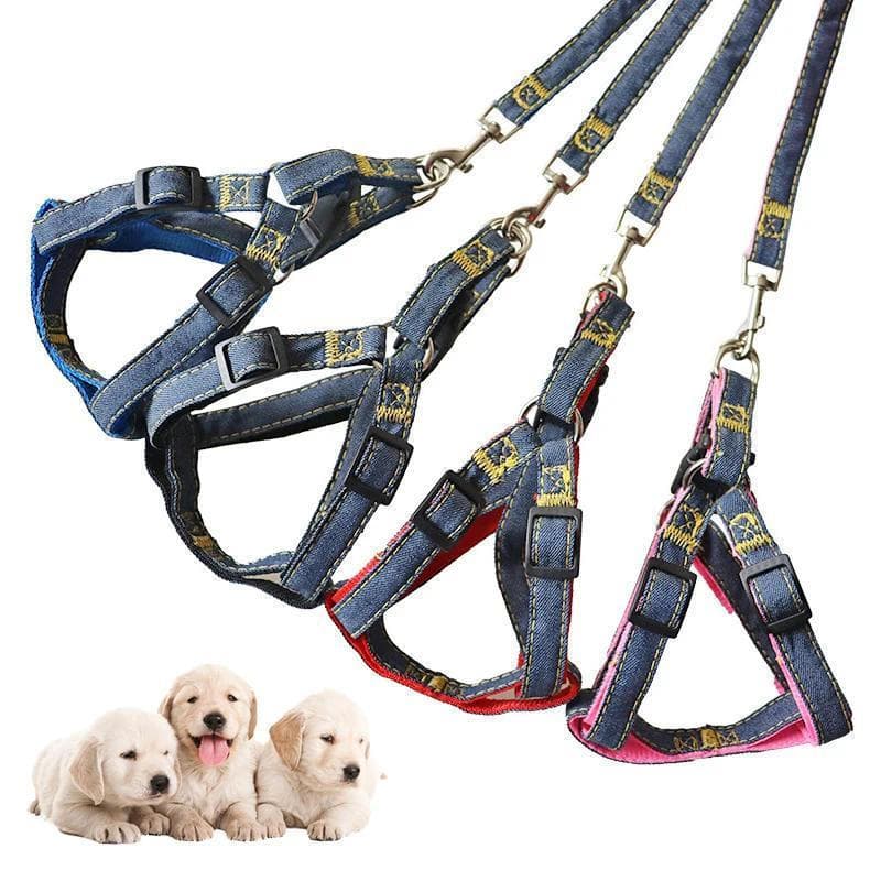 Coleira Peitoral Estilo Cowboy para Cães, Coleira e Guia para Cães, Acessórios Cães, Coleira Peitoral para