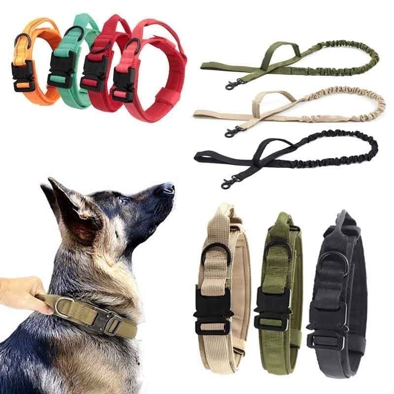 Coleira para Cão com Alça, Fivela de Metal, Conjunto de Coleira e Guia Ajustável, Acessórios de Treinamento para Cães de