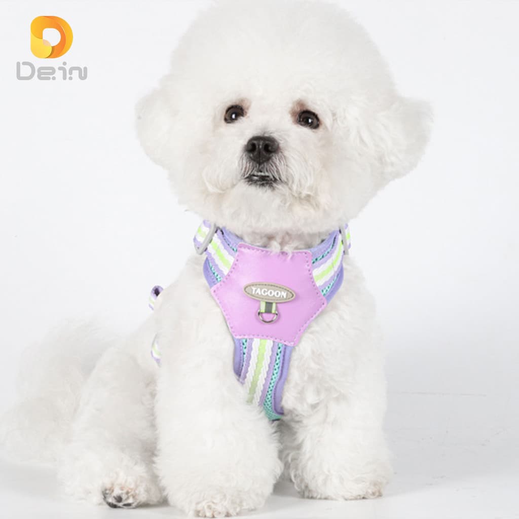 Colete Peitoral com Guia para Cães Pequeno e Médio Porte – Segurança e Conforto