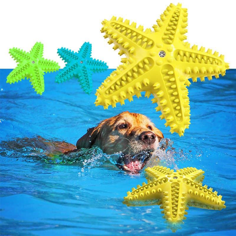 Estrela do Mar Voz Animal de Estimação Brinquedo Cachorro Molindo Barra de Dentes Escova Mastigar Brinquedos