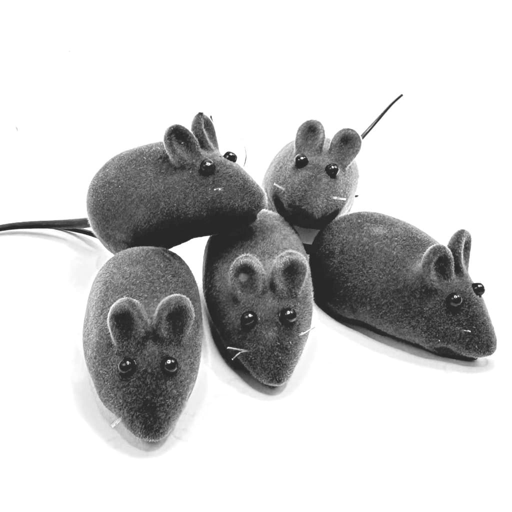 Kit Brinquedo Rato Ratinho Pet Para Gatos Com Apito Vinil Veludo Antiestresse Divertido 5 Unidades