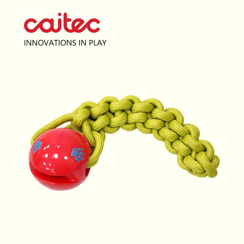 CAITEC Brinquedo para cachorro trança corda bola brinquedo silencioso Molar jogando brinquedo interativo de cabo de guer