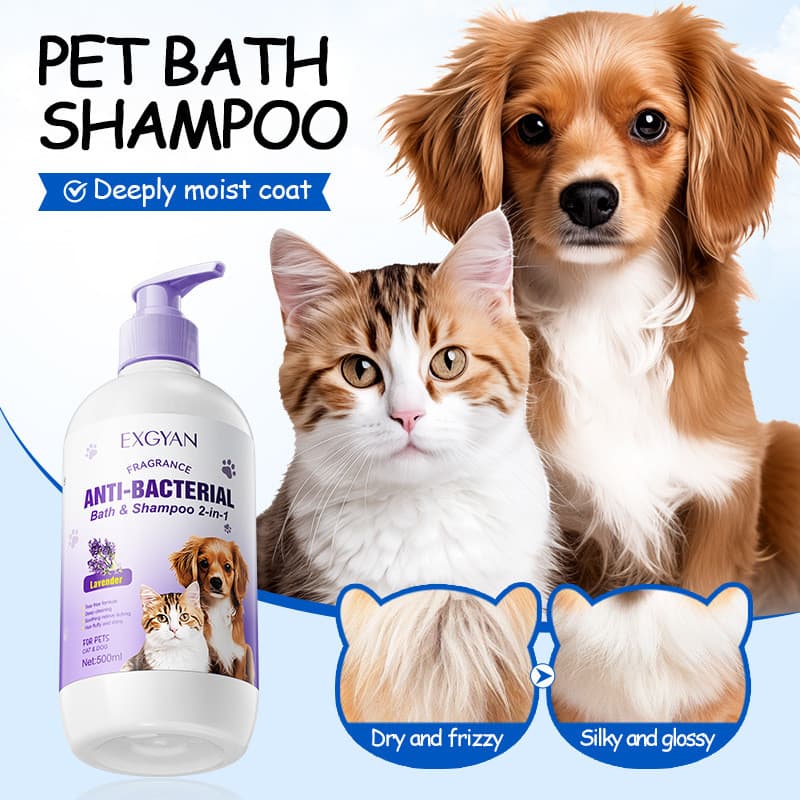 Shampoo Premium Pet Com Fragrância Natural Para Cães E Gatos Fórmula Suave Desembaraçar