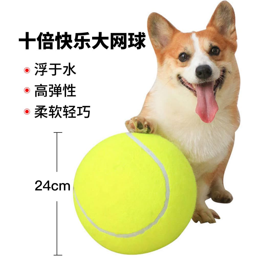 Bola de brinquedo para cachorro, bola saltitante, resistente à mordida, Molar, bola para animais de estimação, brinquedo