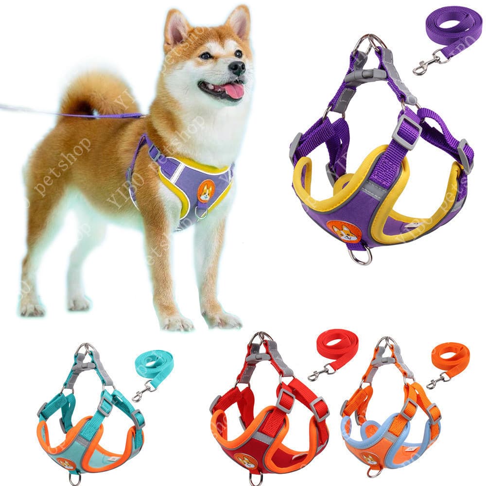 Coleira para Cães com Guia, Coleira Ajustável e Refletiva para Animais, Colete para Cães e Gatos HJXR