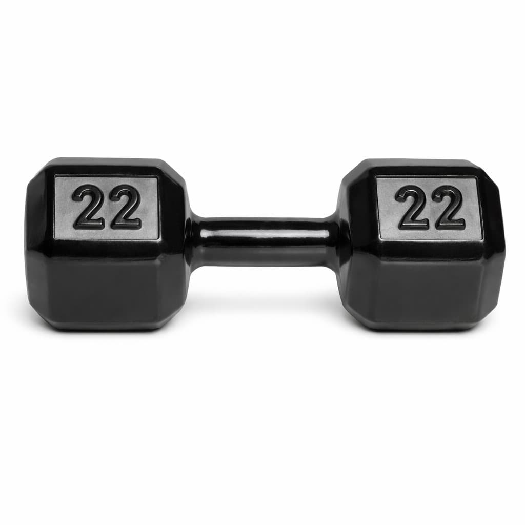 Halter Sextravado 22kg Emborrachado Peso Dumbbell Exercício Força Musculação Gym Pilates Fisioterapia Academia Em Casa