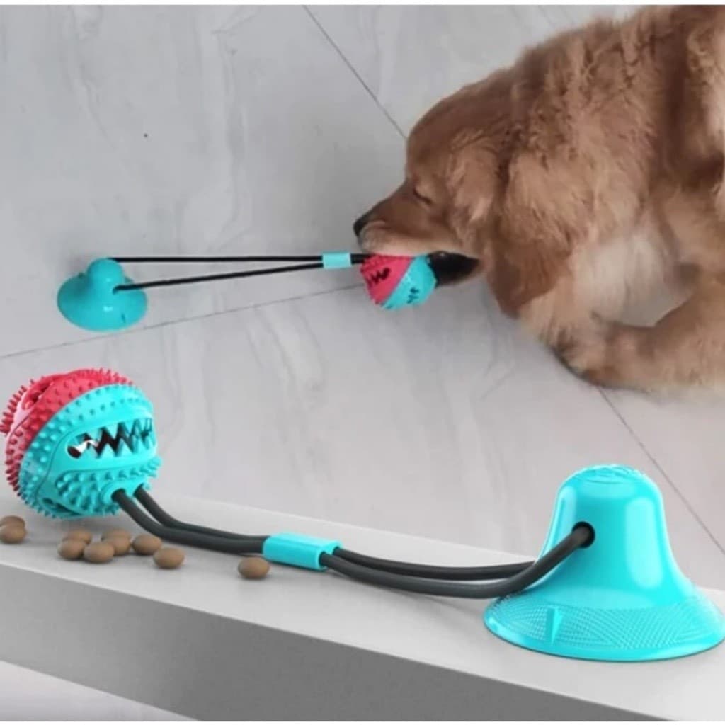 Bola de Brinquedo Para Cachorro Interativa Molar Slow Food com Vazamento para Cachorro Golden Retriever e Labrador ZH058
