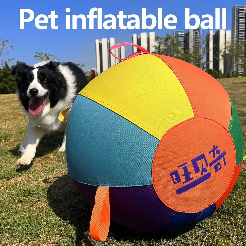 Bola de brinquedo para cachorro, conjunto completo de bola para cachorro, pastor lateral, Golden Retriever, treinamento 