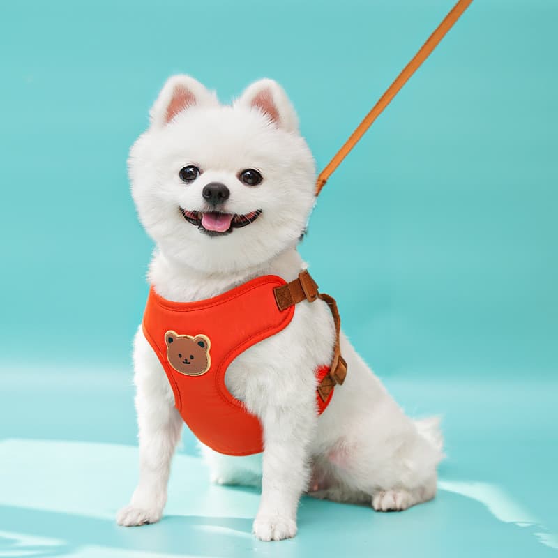 Conjunto de Coleira e Guia para Cães, Coleira em Forma de Urso para Cães e Gatos Pequenos e Médios, Malha Macia e Respir