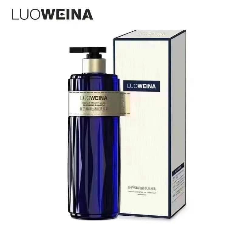 Qiancome roba trufa branca Caviar óleo essencial shampoo hidratante reparação macio anti-caspa shampoo anti-coceira