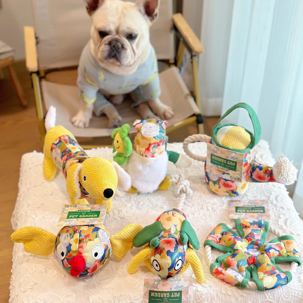 Brinquedo para cachorro, resistente à mordida, voz Molar, auto-feliz, alívio do tédio, Bichon Corgi, cachorro médio e gr