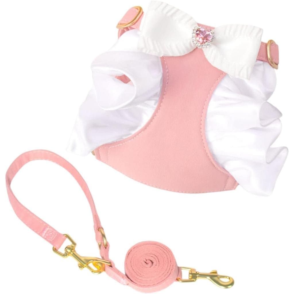 Conjunto de coleira e guia pequeno e adorável com laço, colete de coleira ajustável e respirável para cães de porte pequ