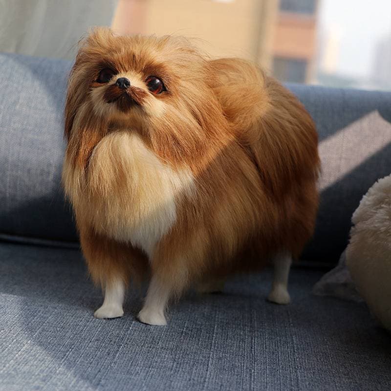 [Init-t] Realista Pomeranian Simulação Brinquedo Cão Filhote De Cachorro Lifelikepanion Artesanal Gota Brinquedos Para A