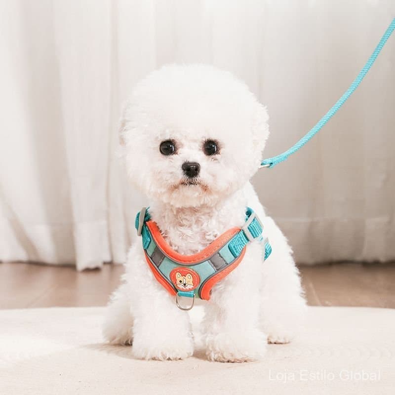 Coleira e guia tipo colete para cães de porte pequeno e extrapequeno, como Teddy, Bulldog Francês, Corgi e outras raças 