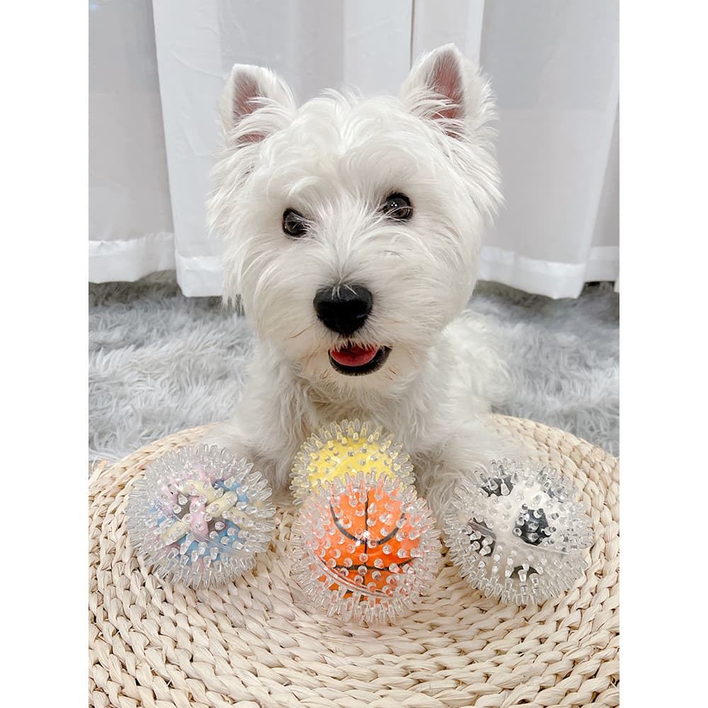 Brinquedo para cachorro, bola resistente à mordida, Molar para cachorro, futebol de estimação, classe de som, provocação