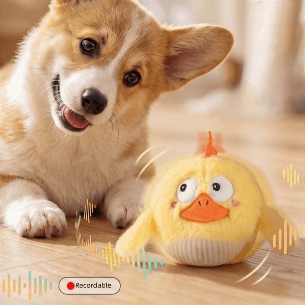Brinquedo De Pelúcia Para Cachorro , Interativo Recarregável De Desenho Animado , Brinquedos De Moagem De Dentes Em Form