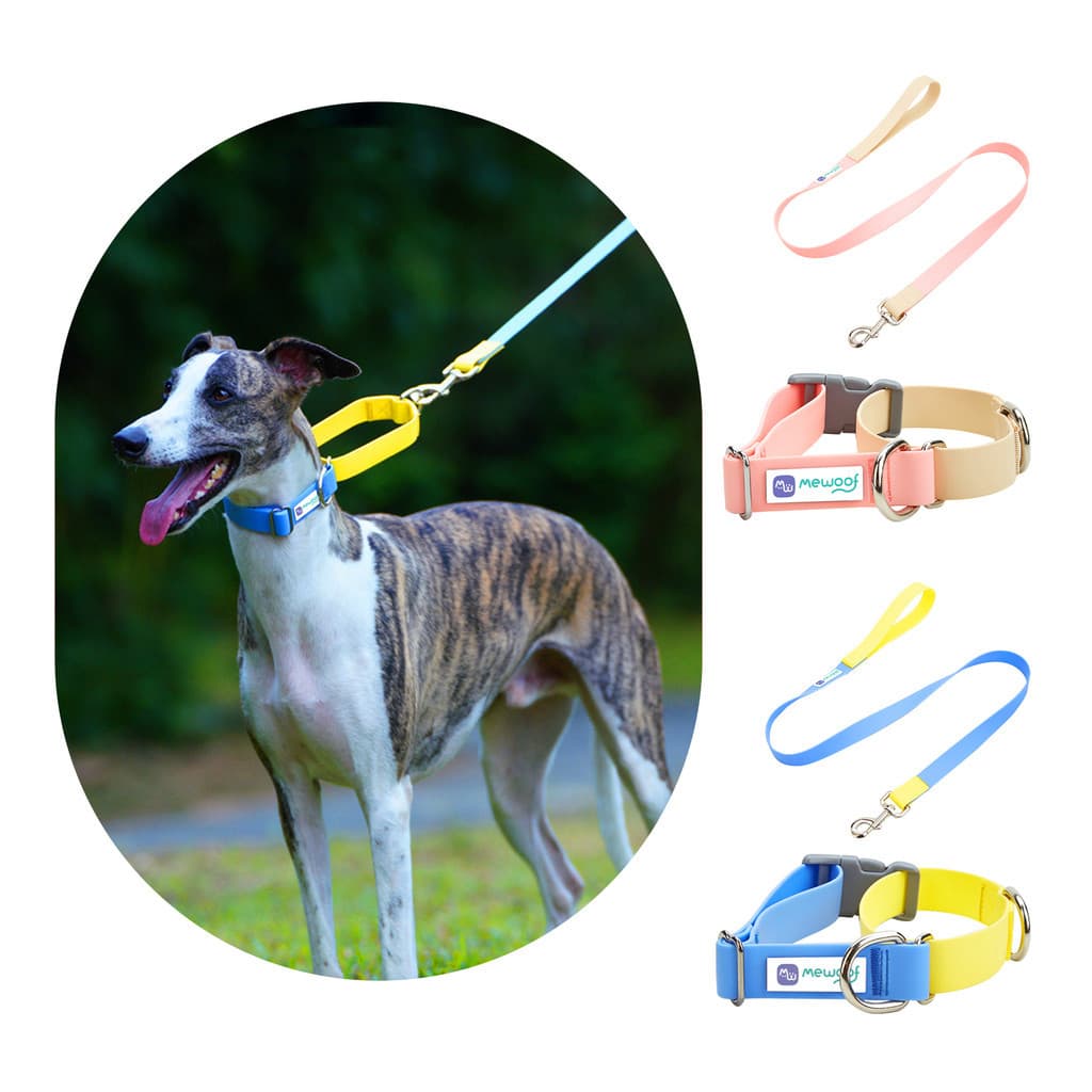 Coleira com Guia Para Cães e Gatos Resistente Ajustável Confortável Cachorros Pet