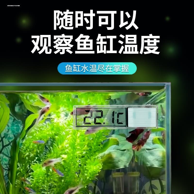 Termômetro eletrônico para tanque de peixes, Display Digital LED de alta precisão, termômetro para aquário, tanque de pe