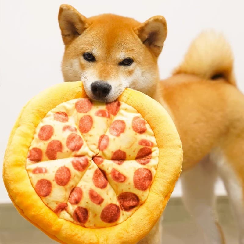 [28% de desconto em 2 peças] Brinquedo com som de cachorro Molar Papel de pelúcia Pizza Pet Brinquedo para cachorro médi