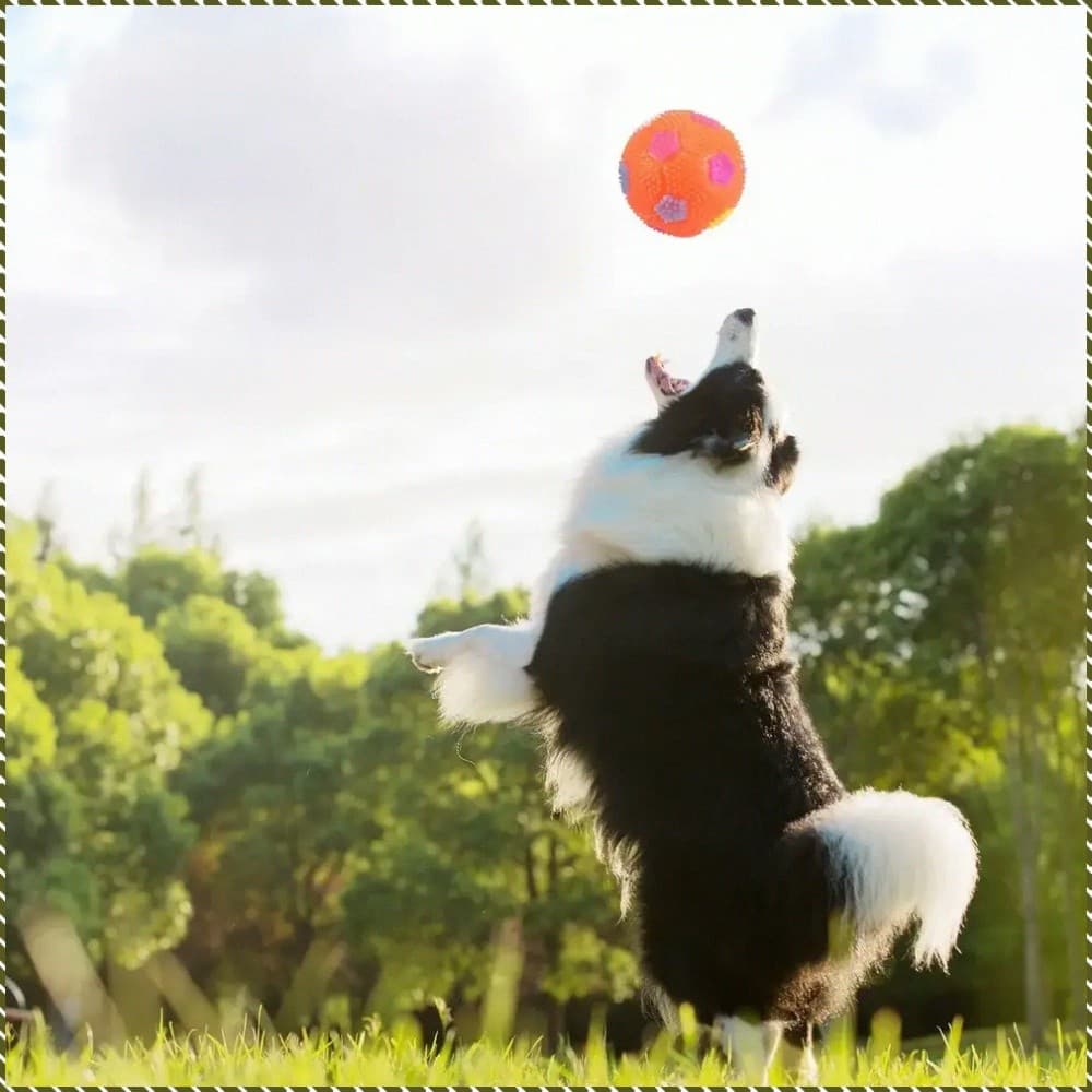 [Para Treino] Kit De Brinquedos Para Cachorro/Brinquedo Sonoro/Brinquedo Interativo/Conjunto De Brinquedos