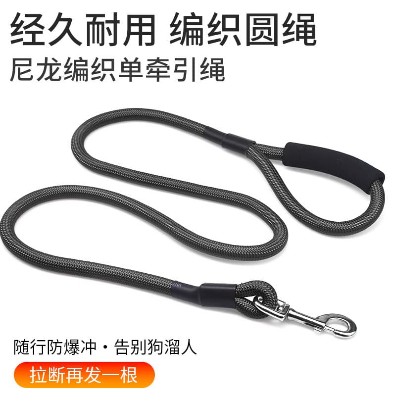 Coleira para cães de estimação, guia para cachorros, coleira para cães de porte pequeno, coleira para passeios de Bichon