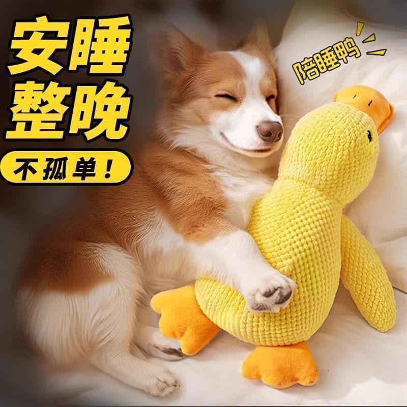 Brinquedo para cachorro, resistente à mordida, auto-feliz, alívio do tédio, ferramenta útil, Corgi, filhote de cachorro,
