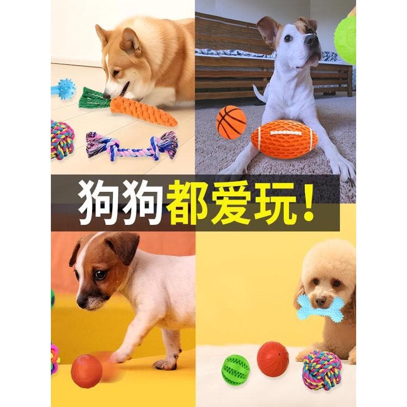 Brinquedo para cachorro Molar resistente à mordida bola de treinamento de cachorro Teddy Golden Retriever grande pequeno
