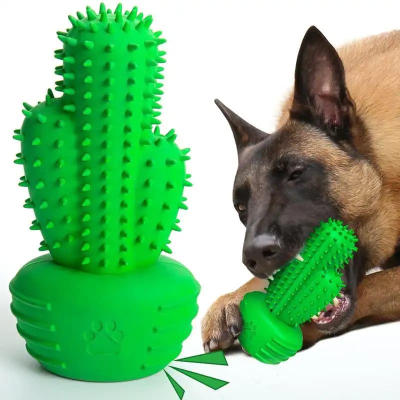Brinquedos em forma de cacto para mordida de cachorro, brinquedos para limpeza de dentes de animais de estimação, brinqu