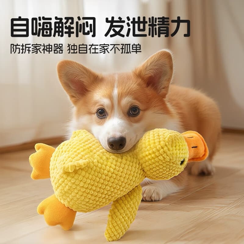 OLÁJOY Brinquedo para cachorro resistente à mordida Molar Filhote de cachorro Brinquedo para brincar com alívio do tédio