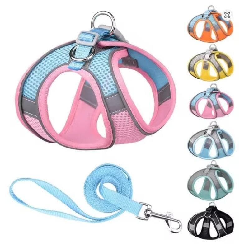 Conjunto de Coleira e Guia para Cães, Coleira Ajustável para Filhotes e Gatos, Coleira para Bulldog Francês, Chihuahua, 