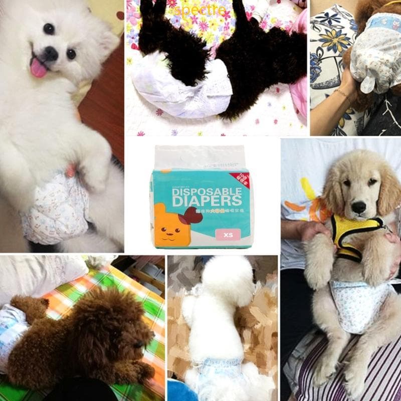 spe Calças Fisiológicas Descartáveis Para Cães Roupa Interior Sanitária Descolorível Fraldas Animais Estimação