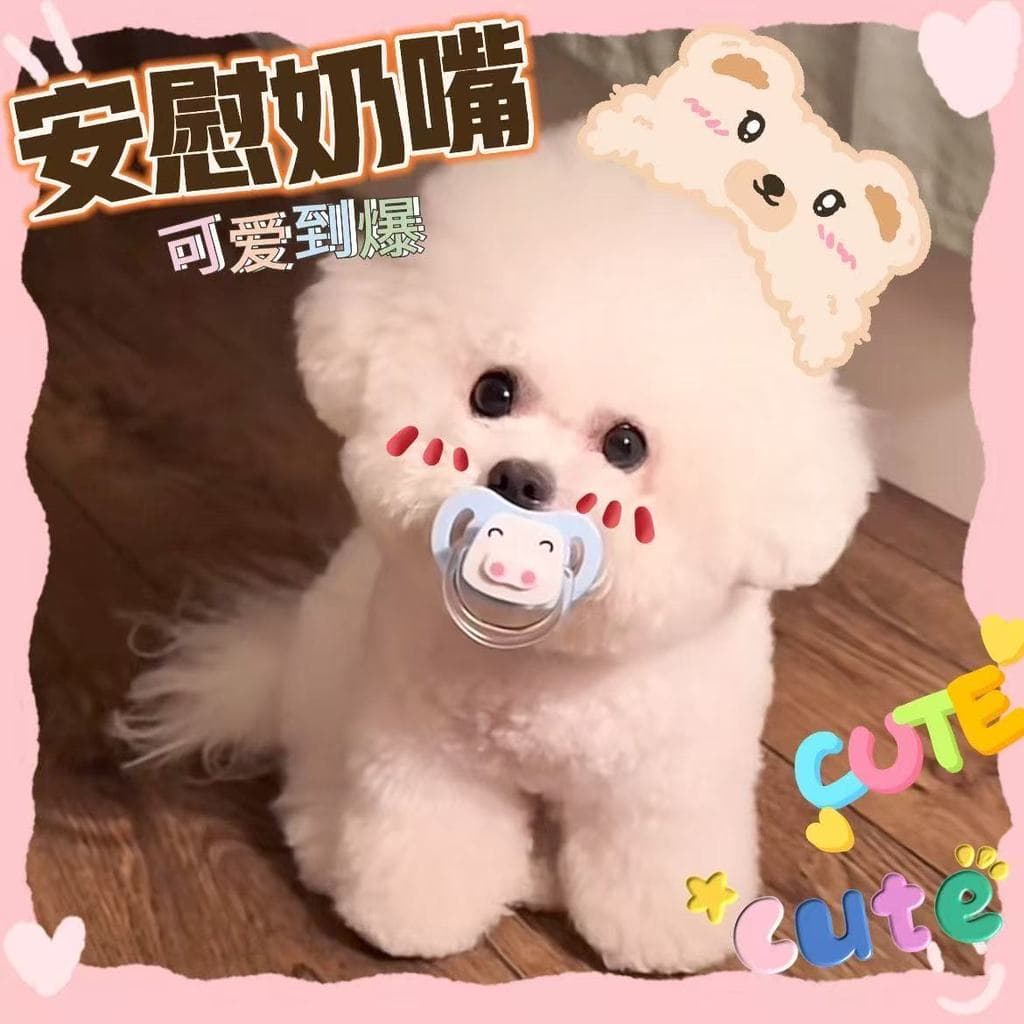 Chupeta para cachorro Bichon, chupeta especial para cachorro, brinquedo calmante para Molar, necessidades diárias, desma