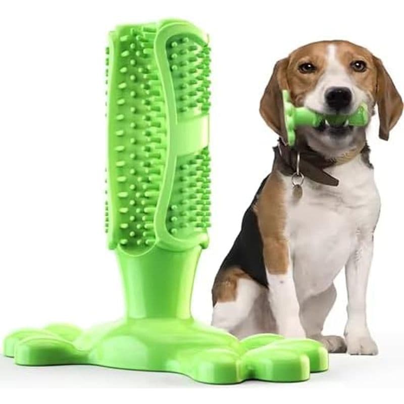 Brinquedo De Mastigar Para Escova De Dentes De Cachorro Brinquedos Cães Mastigadores Agressivos Interativos Tratam Resis