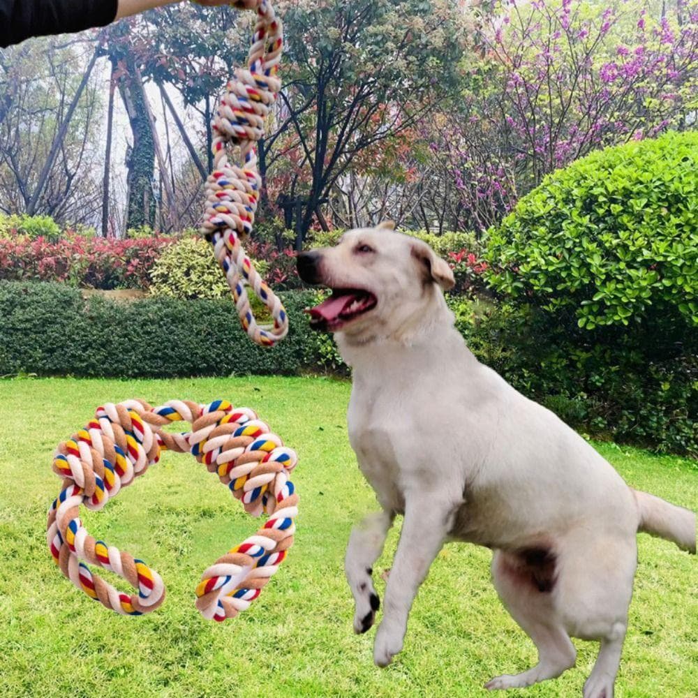 Brinquedo De Nó De Corda De Cachorro ZHDYEB , Algodão Colorido Resistente À Mordida , Brinquedos Interativos Para