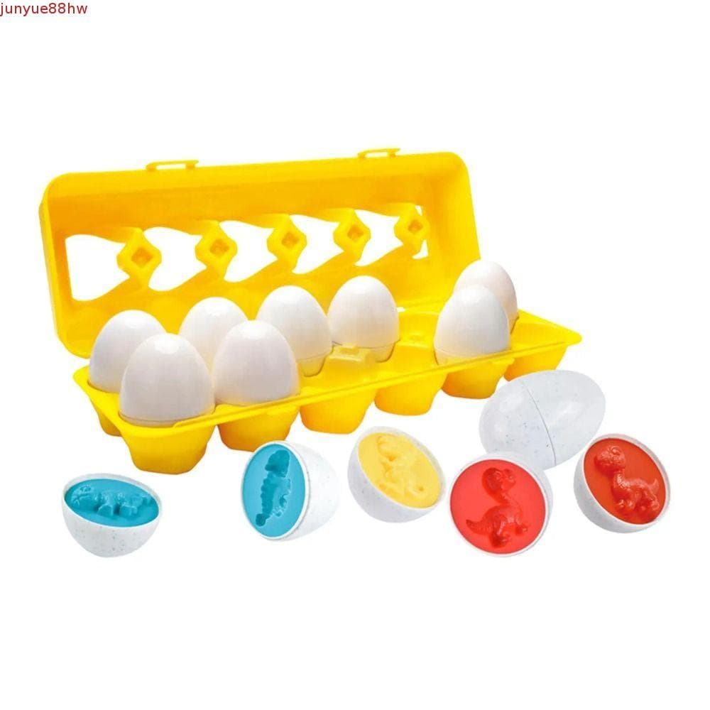 JUNYUE Conjunto De Jogo De Ovo Correspondente , Brinquedos Educativos Fofos De Caixa Esportivo , Brinquedo De Ovos Intel