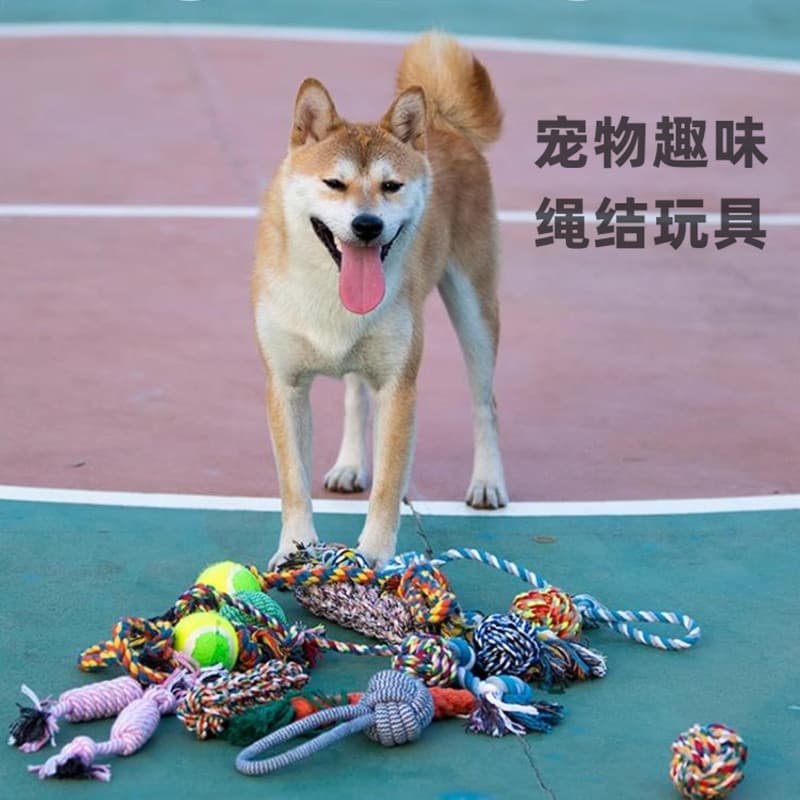 Brinquedos para cães Corda para mordida de cachorro, resistente à mordida, dentes de moagem, nó de guerra, brinquedos de