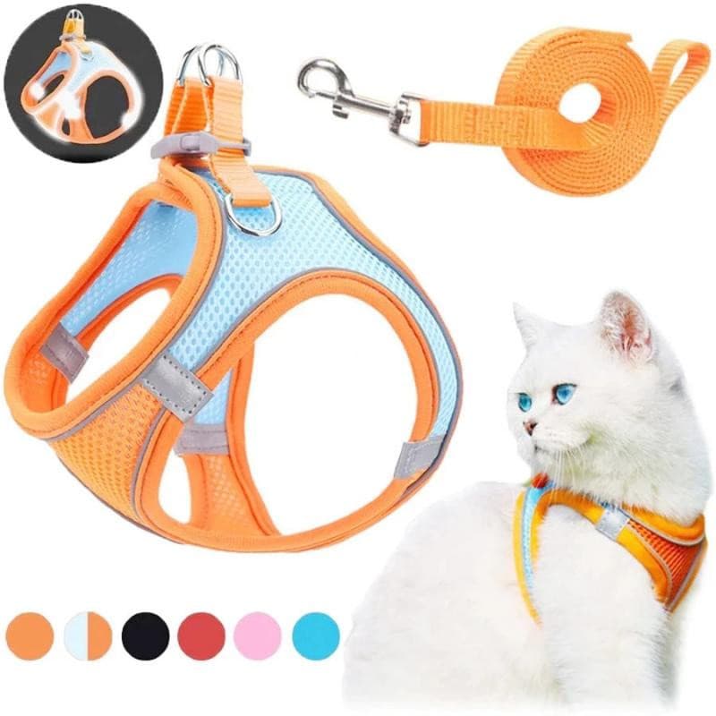 Conjunto de Coleira e Guia para Gato e Cão, Coleira de Nylon Respirável, Confortável, Ajustável, Coleira Infantil EYHG