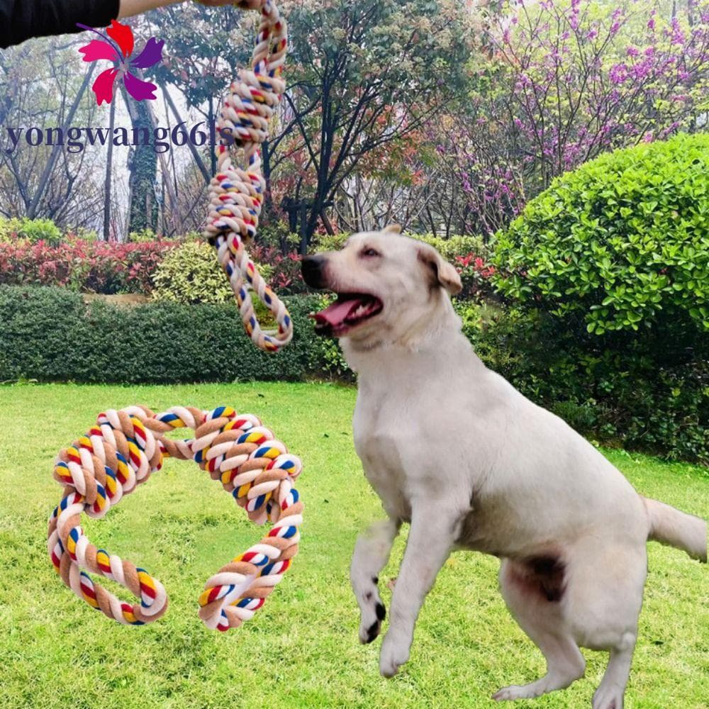 YONGWANG Brinquedo De Corda De Algodão Para Cães , Brinquedos Interativos Mordida De Cachorro , Colorido Com Nó Resisten