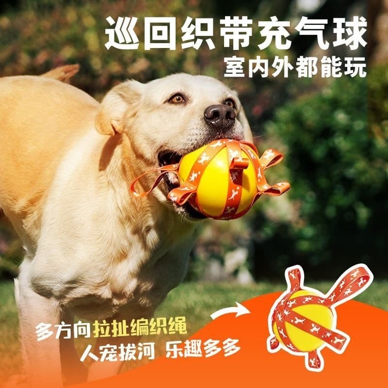 Brinquedo para cachorro futebol Haha bola elástica inflável com borda de cachorro pastor esportes ao ar livre Fitness su