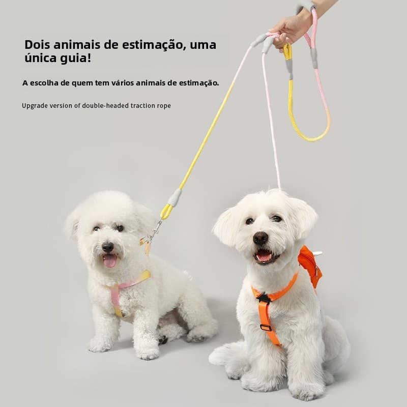 Coleira para cães com cores gradientes, guia dupla anti-emaranhamento, coleira de duas pontas, corrente para cães, guia 