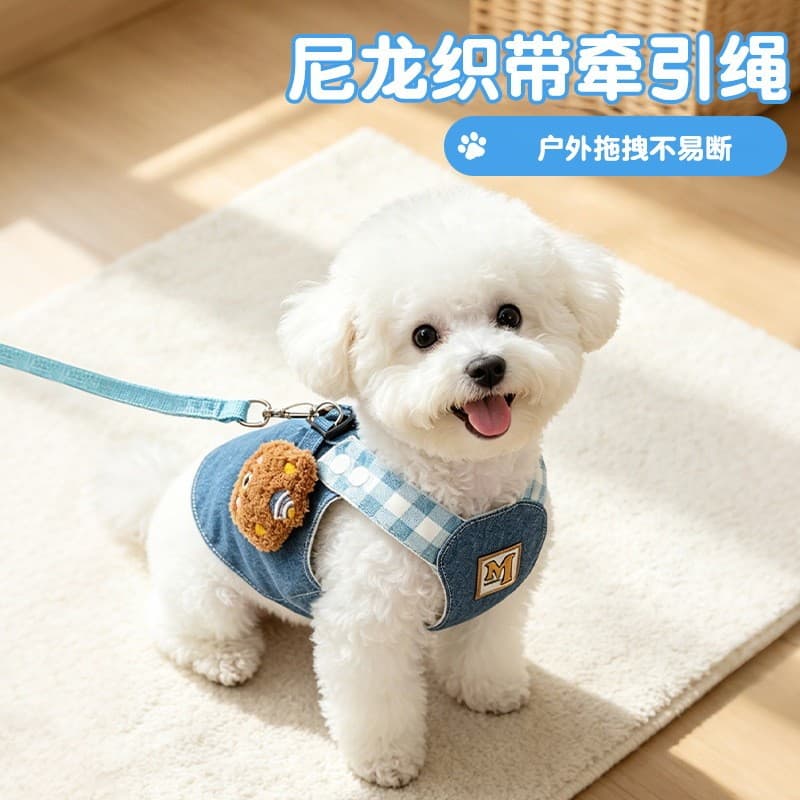 Coleira e guia para cães pequenos, tipo colete, para Bichon, Pomeranian, Yorkshire, roupas para pets, guia para passear 