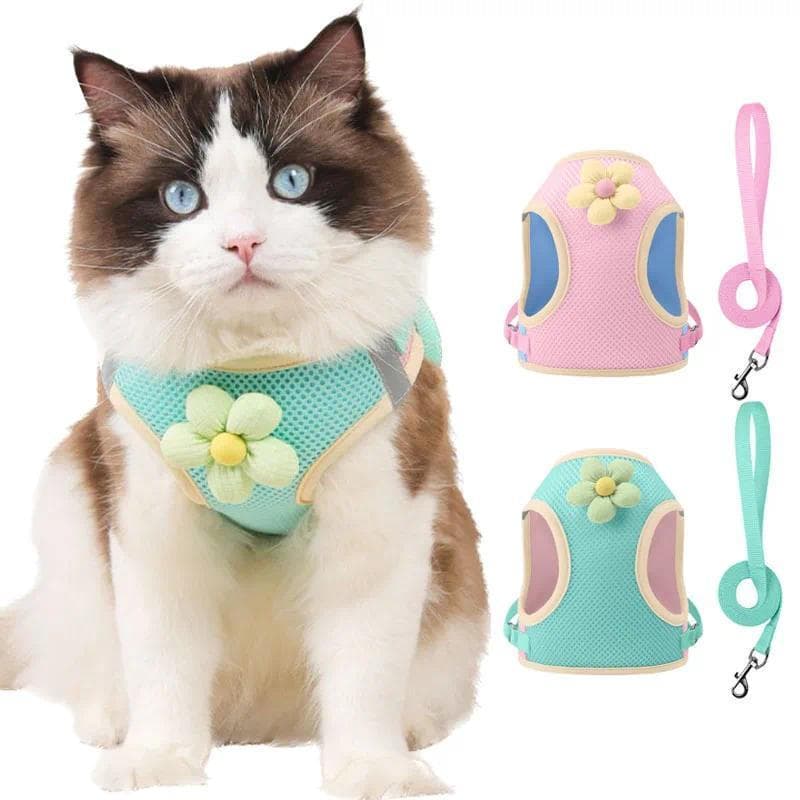 Conjunto de Coleira e Guia para Gatos de Verão com Design Bicolor, Ajustável, para Cães e Gatos Pequenos, Coleira para P